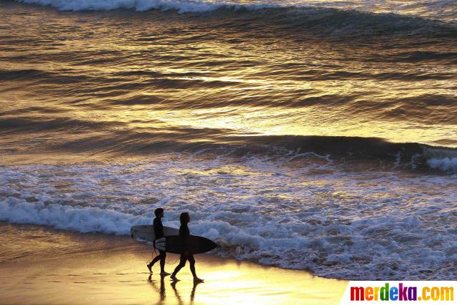 Foto : Berselancar bersama lumba-lumba di pantai Bondi 