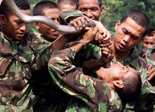 Aksi pasukan elite TNI 