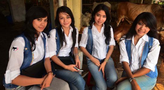 Koboi cantik penjaja sapi kurban