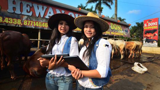 Koboi cantik penjaja sapi kurban
