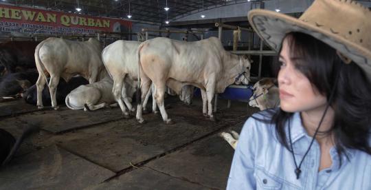 Penjualan hewan kurban di belahan dunia jelang Idul Adha