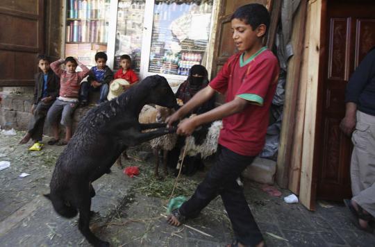Penjualan hewan kurban di belahan dunia jelang Idul Adha