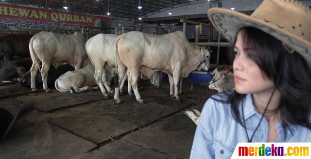 Foto : Penjualan hewan kurban di belahan dunia jelang Idul 