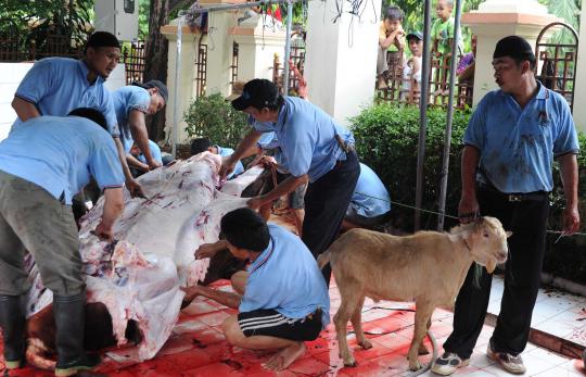Penyembelihan hewan kurban di Masjid Sunda Kelapa