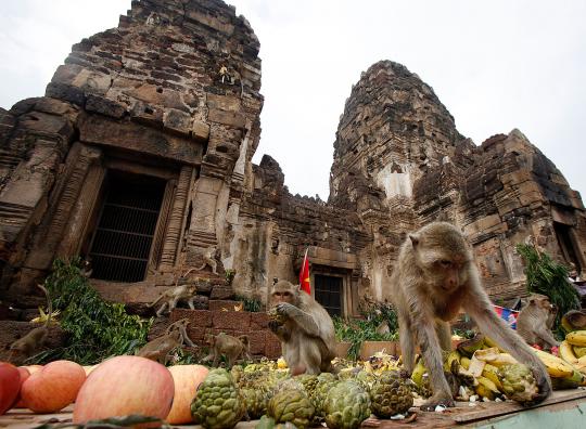 Monyet-monyet berpesta di Festival Makan Sepuasnya di Bangkok