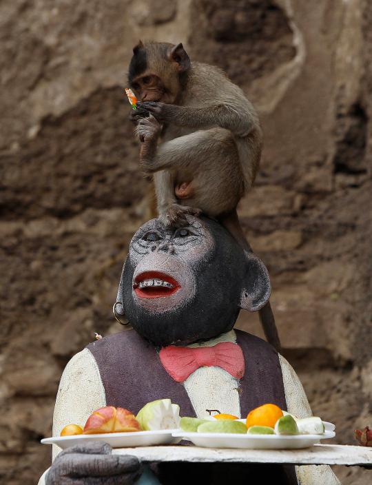 Monyet-monyet berpesta di Festival Makan Sepuasnya di Bangkok