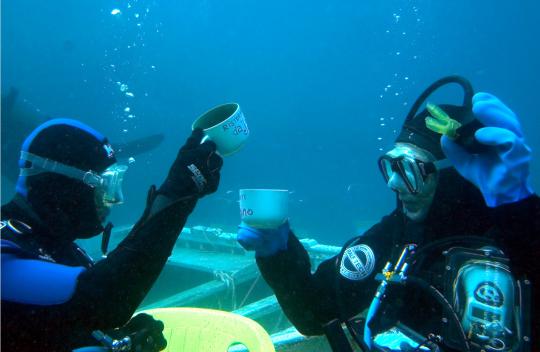 Mereka bisa beraktivitas di dalam laut