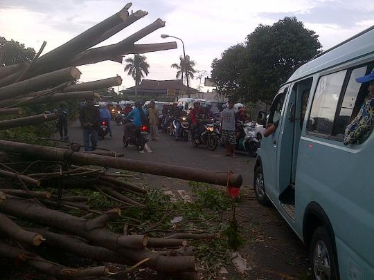 Pohon tumbang di Jalan Raya Kalimalang macetkan arus lalu lintas