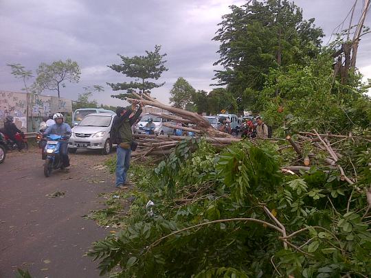 Pohon tumbang di Jalan Raya Kalimalang macetkan arus lalu lintas