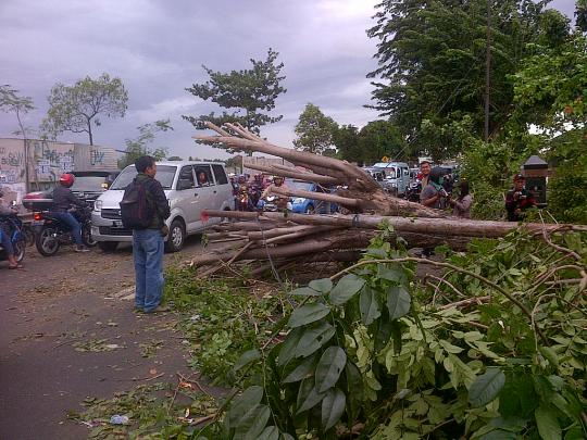 Pohon tumbang di Jalan Raya Kalimalang macetkan arus lalu lintas