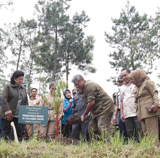 Presiden SBY jalan kaki 2 km blusukan ke Gunung Gede Pangrango