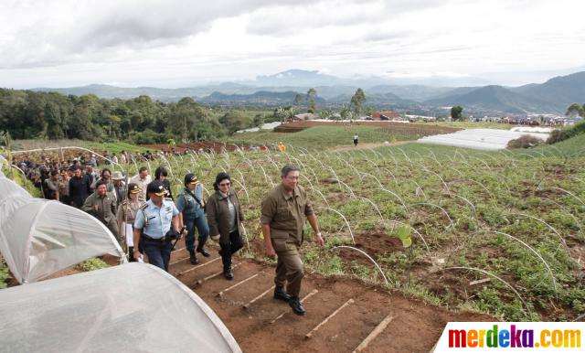 Foto : Presiden SBY jalan kaki 2 km blusukan ke Gunung 