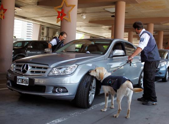 Ketika anjing bertugas jadi partner manusia