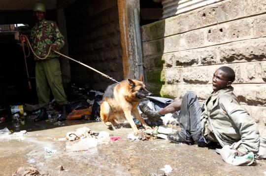 Ketika anjing bertugas jadi partner manusia