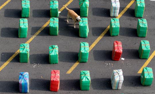 Ketika anjing bertugas jadi partner manusia