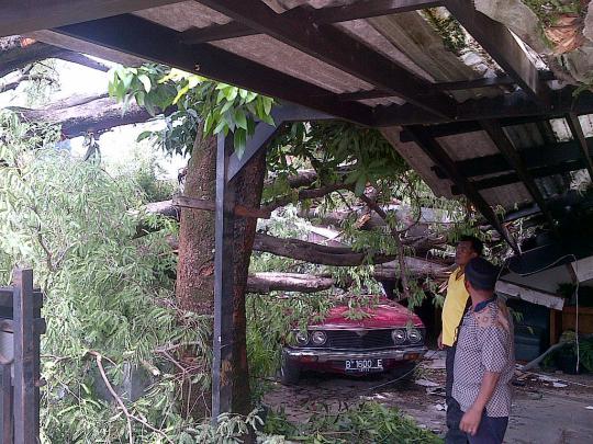 Pohon tumbang timpa rumah dan mobil warga Cipete