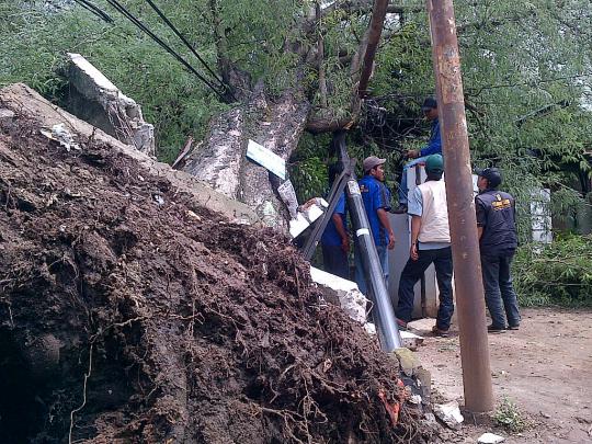 Pohon tumbang timpa rumah dan mobil warga Cipete