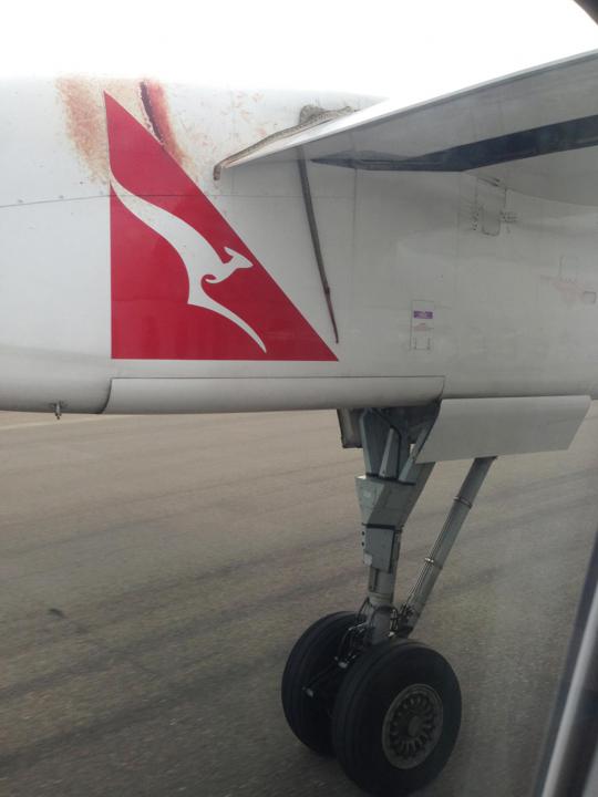 Ular python ukuran 3 meter ikut terbang di sayap pesawat Qantas