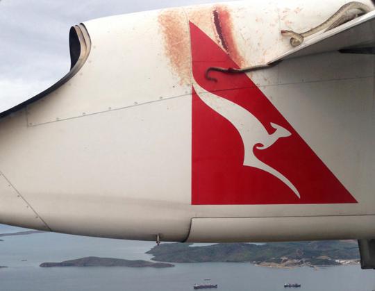 Ular python ukuran 3 meter ikut terbang di sayap pesawat Qantas