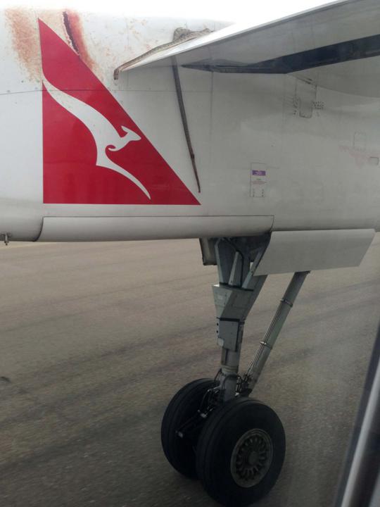 Ular python ukuran 3 meter ikut terbang di sayap pesawat Qantas