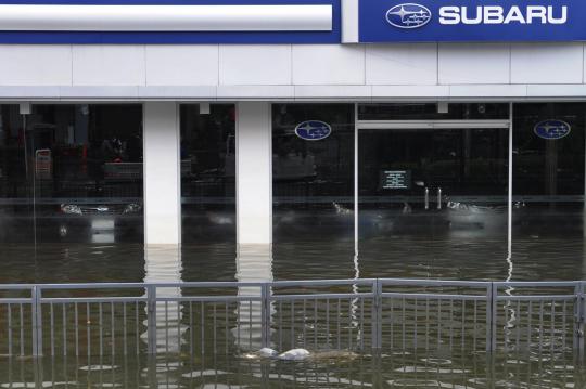 Showroom mobil terendam banjir di Kawasan Pluit Penjaringan