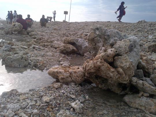 Heboh, Warga Madura temukan pulau karang di tengah laut