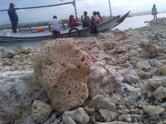 Heboh, Warga Madura temukan pulau karang di tengah laut