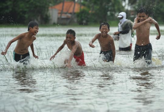 Berenang di sawah terendam banjir