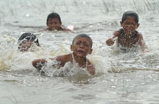 Berenang di sawah terendam banjir