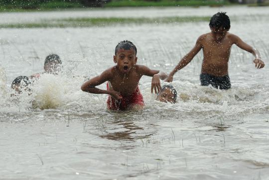 Berenang di sawah terendam banjir