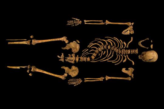 Penemuan kerangka Raja Richard III di bawah lapangan parkir