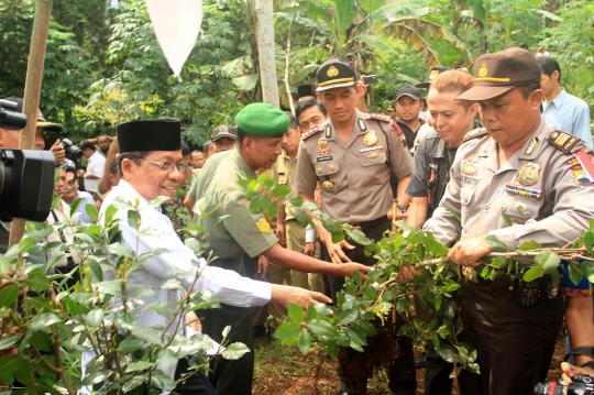 Polres Banyumas musnahkan ladang tanaman khat