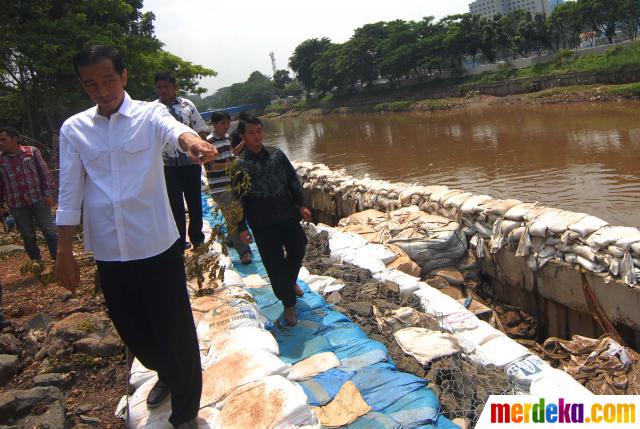 Foto : Jokowi tinjau kembali tanggul Latuharhary merdeka.com