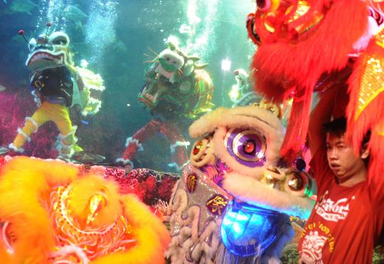 Atraksi Liong dan Barongsai hibur pengunjung Sea World Ancol