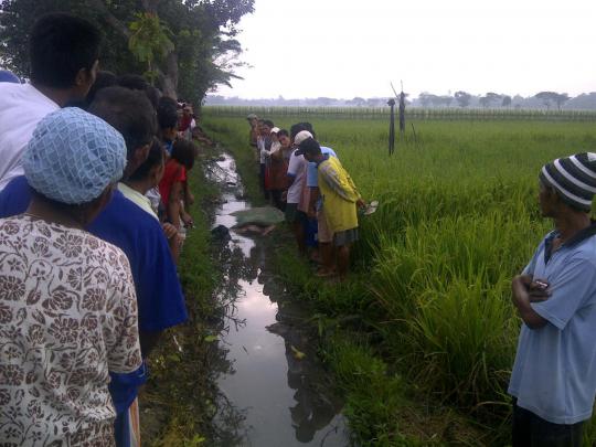 Wanita dalam kondisi hamil 5 bulan ditemukan tewas di sawah