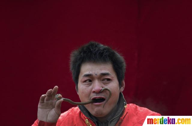 Foto : Atraksi nekat, pria ini memasukkan ular hidup 