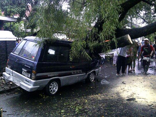 Kota Solo diserang badai, ratusan pohon tumbang