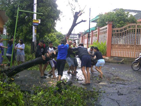 Kota Solo diserang badai, ratusan pohon tumbang