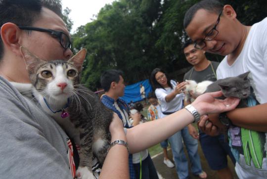 Pet Adoption Day di Taman Langsat