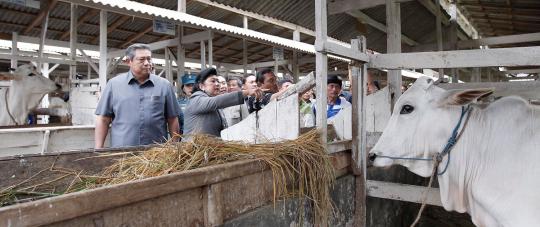 SBY dan rombongan blusukan ke Lereng Gunung Slamet