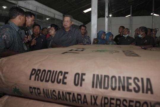 Presiden SBY tinjau perkebunan teh PTPN Pemalang