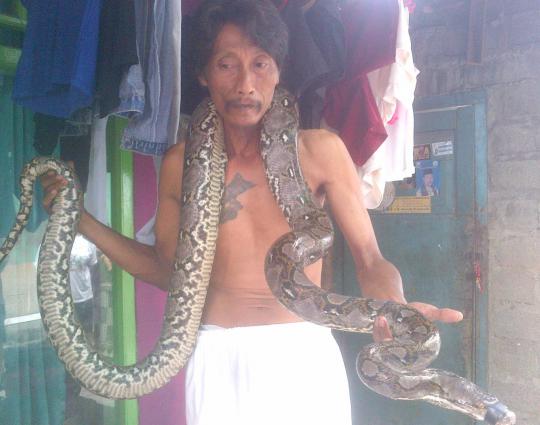 Ini ular sanca yang hebohkan warga Cipinang