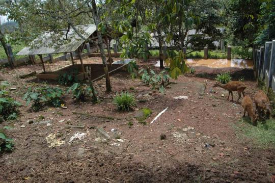 Ada danau dan bukit di kebun binatang Djoko Susilo