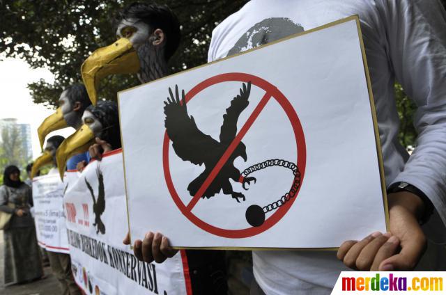 Foto Aksi Protes Jual Beli Burung Elang Merdeka Simbol Dibawa