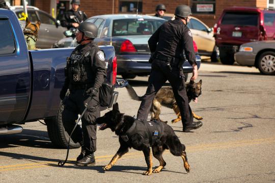 Anjing pelacak diturunkan bantu tangkap pelaku bom Boston
