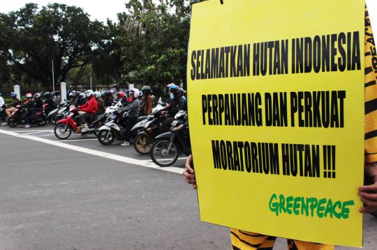 Aktivis Greenpeace tuntut perpanjangan moratorium hutan