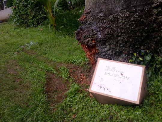 Lokasi jatuhnya Ustaz Jeffry Al-Buchori