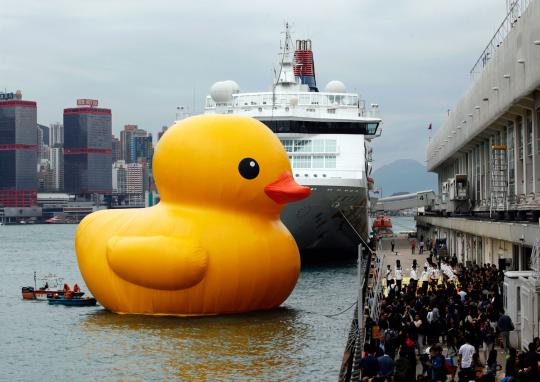 Anak bebek raksasa berenang di perairan Hong Kong