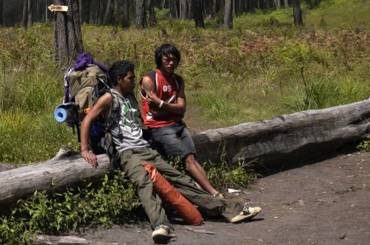 Potret para porter Gunung Semeru