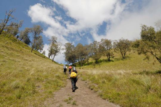 Tim pendaki merdeka.com taklukkan Gunung Semeru